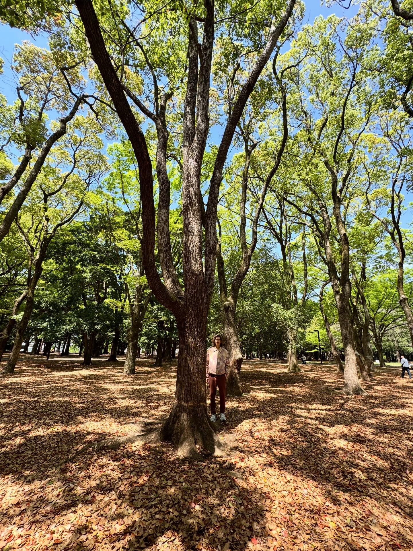 ある日のキャピどこ🌳

5/2土曜日は、大阪吹田でドクターキャピタル ソロライブがあります！とても楽しみ❤️‍🔥

「Dr. Capital 2026 Golden LIVE」
日時：2026年5月2日(土) OPEN 14:00 / START 15:00
会場：LIVE BAR TAKE FIVE OSAKA

#キャピどこ シリーズ
#drcapital 
#ドクターキャピタル 
#大阪